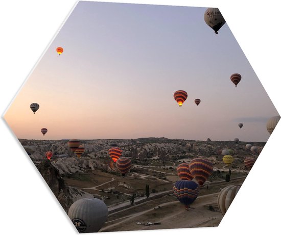 WallClassics - PVC Schuimplaat Hexagon  - Luchtballonnen boven Bergachtig Landschap - 70x60.9 cm Foto op Hexagon (Met Ophangsysteem)