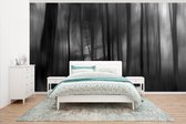Behang - Fotobehang Blurry Forest - zwart wit - Breedte 465 cm x hoogte 260 cm - Behangpapier