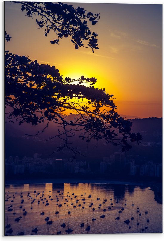 WallClassics - Dibond - Soleil derrière les branches - 40x60 cm Photo sur aluminium (Décoration murale en métal)