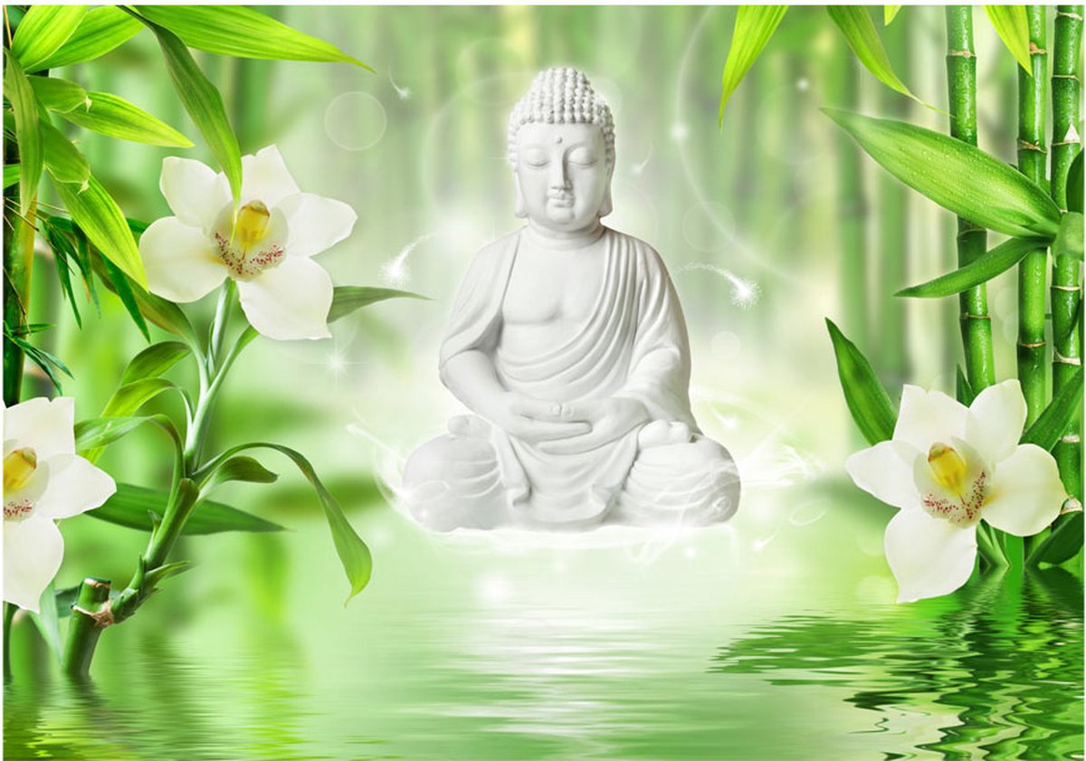Fotobehangkoning - Behang - Vliesbehang - Fotobehang - Buddha and nature - Boedha in Natuur - 400 x 280 cm