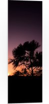 WallClassics - PVC Schuimplaat - silhouet van Zonsondergang achter Boompje - 30x90 cm Foto op PVC Schuimplaat (Met Ophangsysteem)