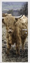 Deursticker Schotse Hooglanders - Berg - Koeien - 85x205 cm - Deurposter