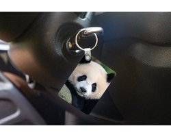 Sleutelhanger - Panda - Wilde dieren - Portret - Steen - Uitdeelcadeautjes - Plastic