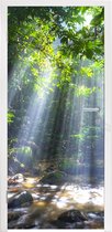 Deursticker Zonnestralen dringen door de bomen het regenwoud in Maleisië binnen - 75x205 cm - Deurposter