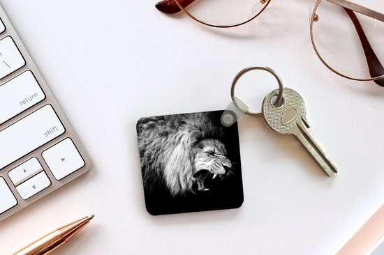 Porte-clés - Cadeaux - Lion - Portrait - Noir - Wit - Animaux - Plastique