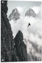 WallClassics - Tuinposter – Vogel Vliegend tussen Bergen (zwart/wit) - 60x80 cm Foto op Tuinposter  (wanddecoratie voor buiten en binnen)
