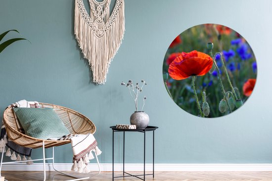 WallCircle - Stickers muraux - Cercle de papier peint - Coquelicots colorés aux Pays- Nederland - 100x100 cm - Cercle mural - Auto-adhésif - Sticker papier peint rond XXL