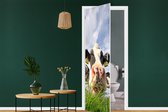 Deursticker Koe - Boerderij - Gras - Dieren - 85x215 cm - Deurposter