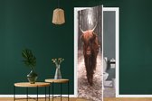 Deurposter - Schotse hooglander - Dieren - Koe - Natuur - Deursticker - Fotobehang deur - Deur decoratie - Sticker zelfklevend - Slaapkamer - 85x205 cm - Toilet - Badkamer