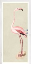 Deursticker Antieke Vogelprenten - Antieke vogelprent flamingo - 85x215 cm - zelfklevende deurposter - bubbelvrij en herpositioneerbare deursticker