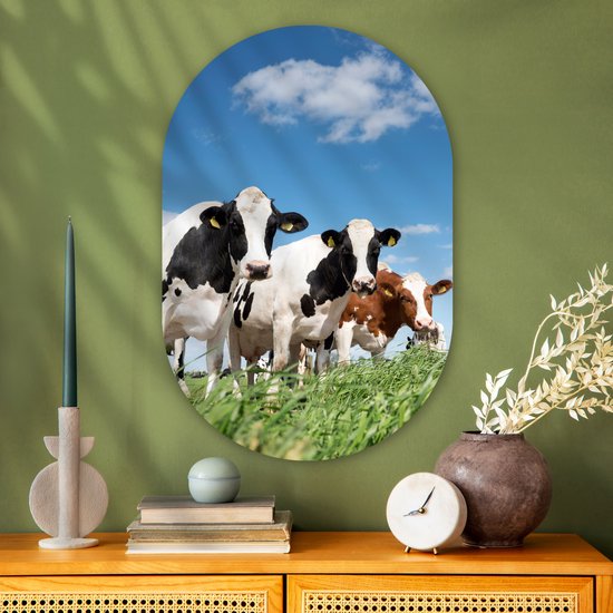 Ovale Mural - Ovale Mural - Décoration murale Plastique - Peinture Ovale - Vaches - Campagne - Pâturage - Nature - Animaux - 60x90 cm - Forme miroir ovale sur plastique