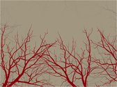 Fotobehang - Red-hot branches.