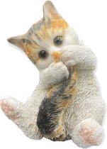 Chat - Chat - Chaton - Joue avec eigen queue - Décoration - Statue - Polystone - 13x13x18cm