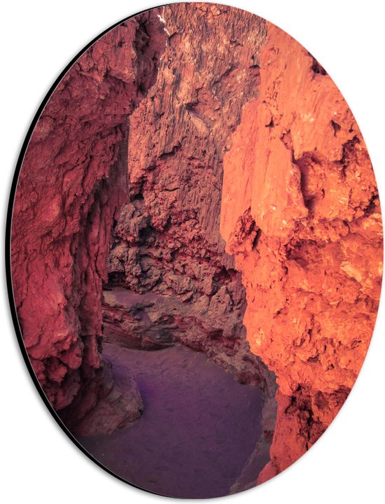 WallClassics - Dibond Ovaal - Smal Weggetje tussen Oranje Rotsen - 21x28 cm Foto op Ovaal (Met Ophangsysteem)
