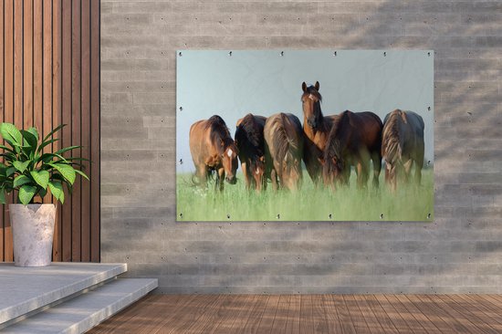 Décoration murale Paarden - Animaux - Herbe - Été - 180x120 cm - Poster jardin