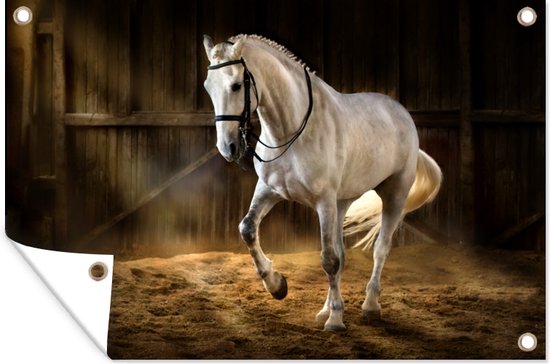 Couverture Maille Flux D'air Pour Cheval - Taille 74 Pouces - Violet à Carreaux - Challenger - Neuf