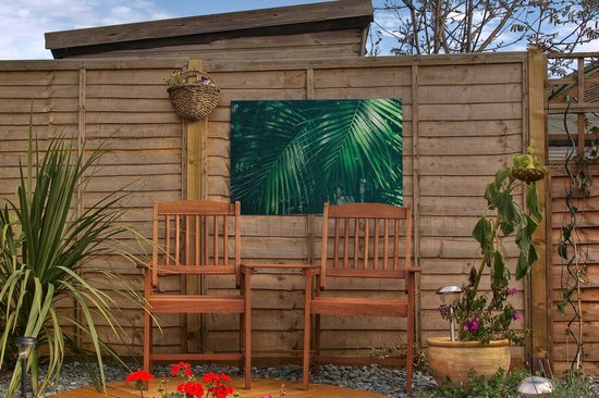 Décoration de jardin Feuilles de palmier - Macro - Vert - 60x40 cm - Poster jardin