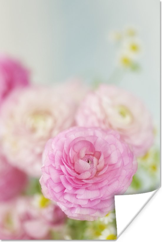 Poster Close-up van roze bloemen