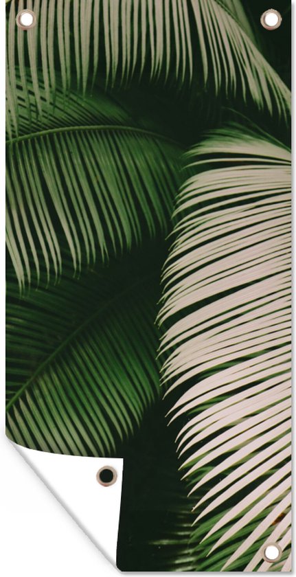 Tuinposter - Tuin - Palmboom - Palmblad - Tropical - Bladeren - 80x160 cm - Tuinschilderij - Muurdecoratie - Tuindoek - Buitenposter