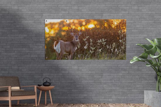 Décoration murale extérieure Cerf - Plantes - Coucher de soleil - Animaux sauvages - Nature - 160x80 cm - Toile jardin - Poster extérieur