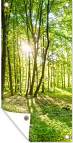 Tuinposter Natuur - Bomen - Bos - Groen - Zonlicht - 40x80 cm - Wanddecoratie Buiten - Tuinposter - Tuindoek - Schuttingposter - Tuinschilderij