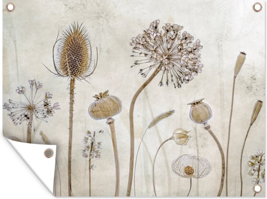 Décoration de Jardin Fleurs - Aquarelle - Nature morte - Marron - Vintage - 40x30 cm - Toile jardin - Affiche extérieure