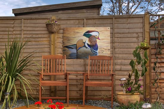 Canard mandarin dans l'eau dans le jardin d'automne affiche toile en vrac 60x40 cm - petit - toile de jardin / toile d'extérieur / Peintures pour l'extérieur (décoration de jardin)