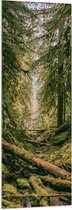 WallClassics - Acrylglas - Omgevallen Groene Bomen - 50x150 cm Foto op Acrylglas (Wanddecoratie op Acrylaat)