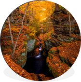 WallCircle - Wandcirkel - Muurcirkel - Een waterval in de herfst - Aluminium - Dibond - ⌀ 140 cm - Binnen en Buiten