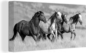 Canvas Schilderij Vier wilde mustang paarden rennen door het gras - zwart wit - 80x40 cm - Wanddecoratie