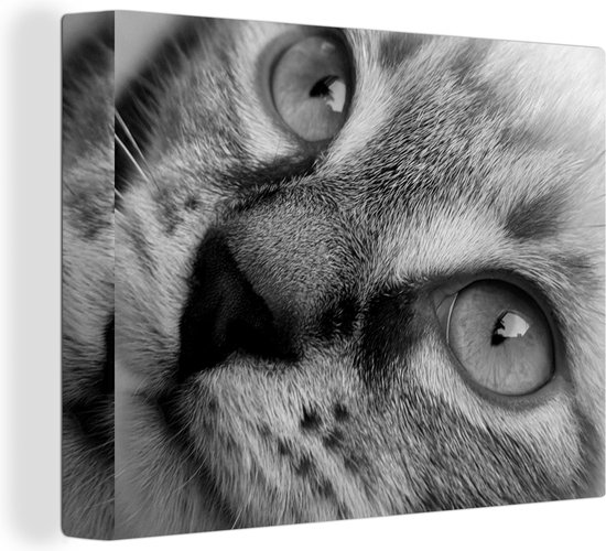 Canvas Schilderij Close up van de ogen van de Siamese kat - zwart wit - 40x30 cm - Wanddecoratie