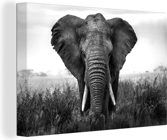 Canvas Schilderij Afrikaanse olifant in het gras in het Nationaal park Serengeti - zwart wit - 120x80 cm - Wanddecoratie