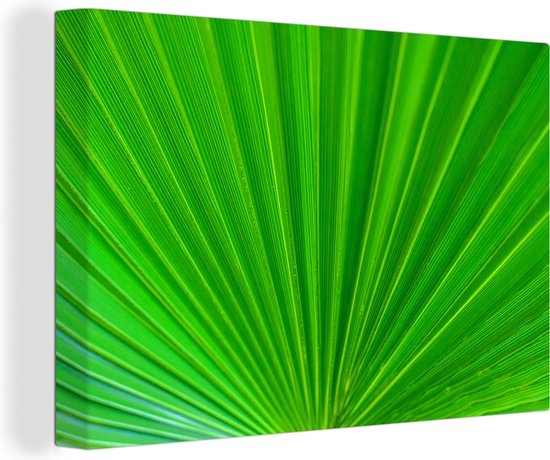 Canvas Schilderij Tropisch - Plant - Groen - 90x60 cm - Wanddecoratie