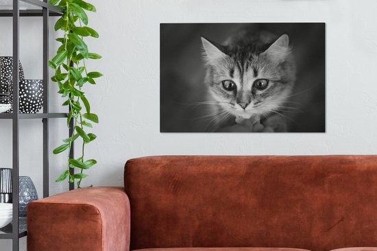 Profil animalier sentant le chat en toile noir et blanc 2cm 90x60 cm - Tirage photo sur toile (Décoration murale salon / chambre)