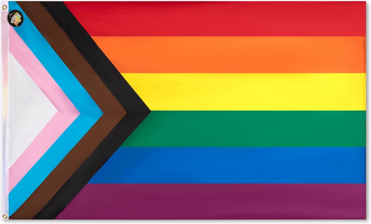 Drapeau progressif 90 x 150 cm rainbow pride LGBTQIA trans queer non ...