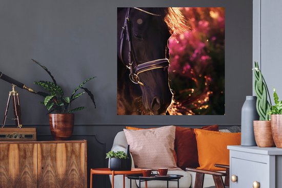 Stickers muraux - Cheval - Soleil - Portrait - 100x100 cm - Film adhésif XXL