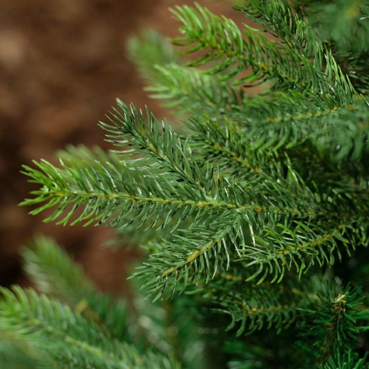 Everlands Grandis Fir - Kunstkerstboom - 180 cm - Zonder verlichting – foto 3
