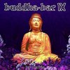 Buddha Bar 9