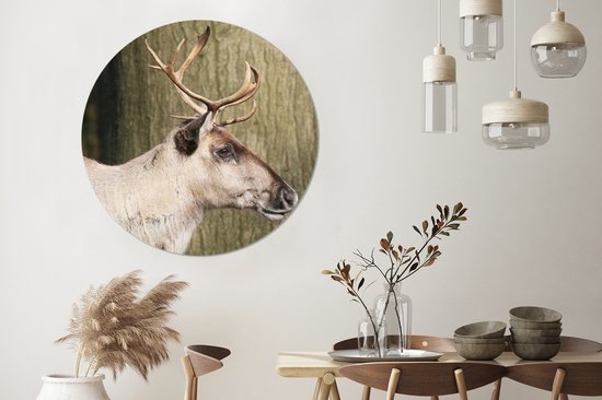 Gros plan d'un renne contre un arbre Assiette en plastique cercle mural ⌀ 140 cm