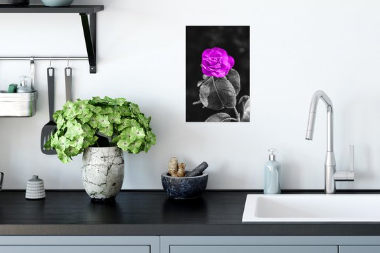Affiche Fleurs - Rose - Violet - Zwart - Wit - 20x30 cm