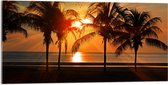WallClassics - Acrylglas - Palmbomen op het Strand bij Zonsondergang - 100x50 cm Foto op Acrylglas (Met Ophangsysteem)