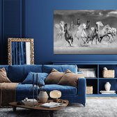 Wanddecoratie / Schilderij / Poster / Doek / Schilderstuk / Muurdecoratie / Fotokunst / Tafereel Horses in the dessert black gedrukt op Plexiglas