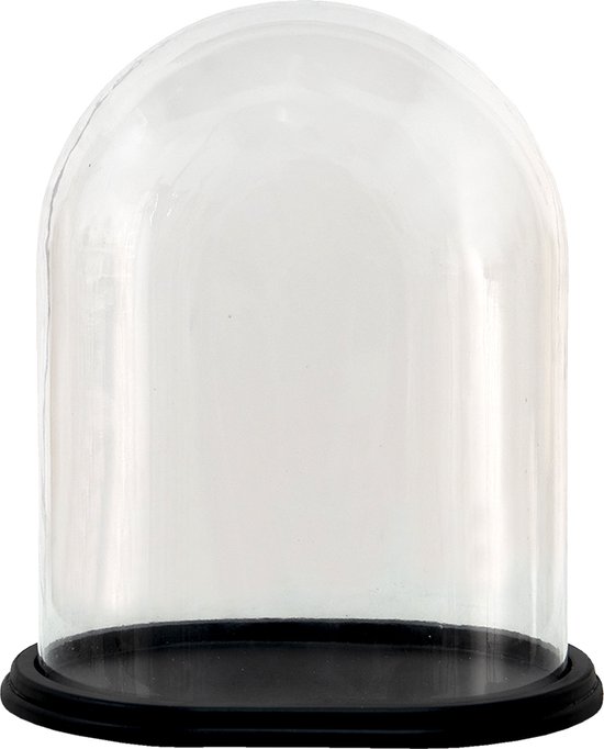 HAES DECO - Coupole décorative en verre avec socle en bois noir, ovale 28 x 20 cm et hauteur 32 cm - ST034811