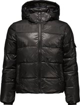 Superrebel HUNTER boys back to school oil cire Jacket