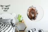 Papier peint Cercle - Lion - Ligne - Couleurs - 100x100 cm XXL