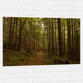 WallClassics - Muursticker - Forêt avec Chemin de Marche - 105x70 cm Photo sur Muursticker