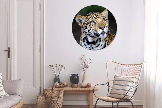 Wallpaper Circle - Léopard - Tête - Forêt - 100x100 cm - Wall Circle XXL