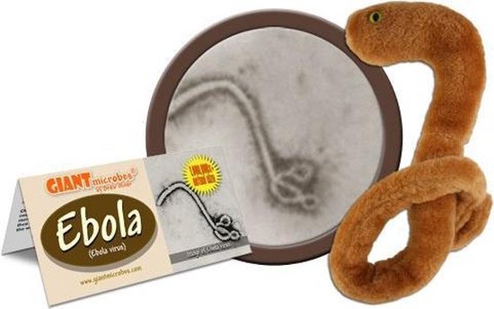 Ebola (Ebola Virus) | bol.com