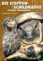 Steppenschildkröte