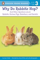 Penguin Young Readers 3 - Why Do Rabbits Hop?